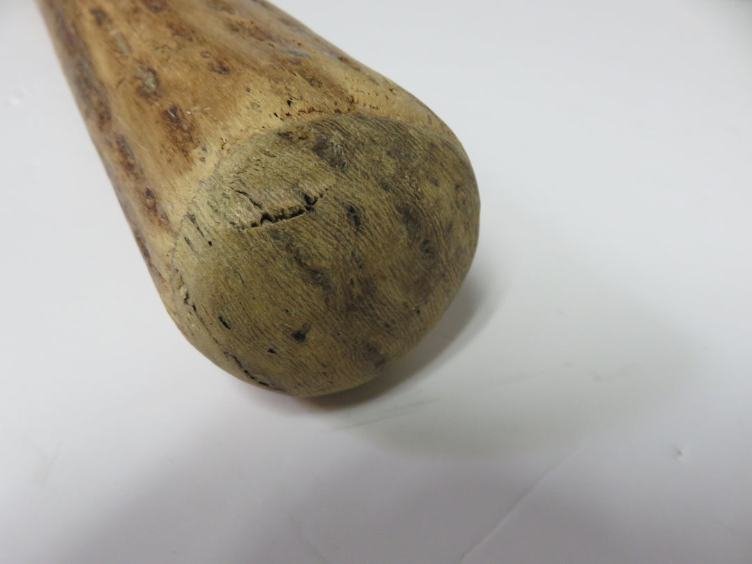 Cactus Rain Stick