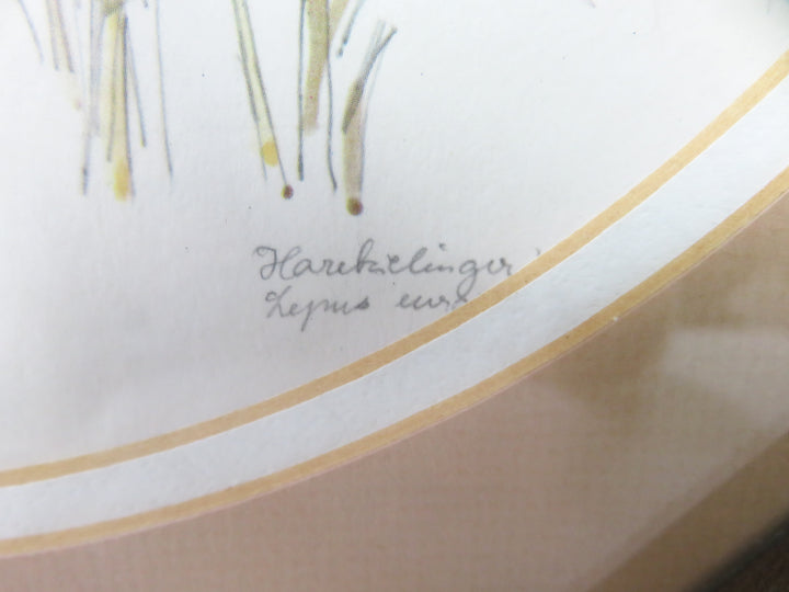 Signed Bunny Print by Mads Stage