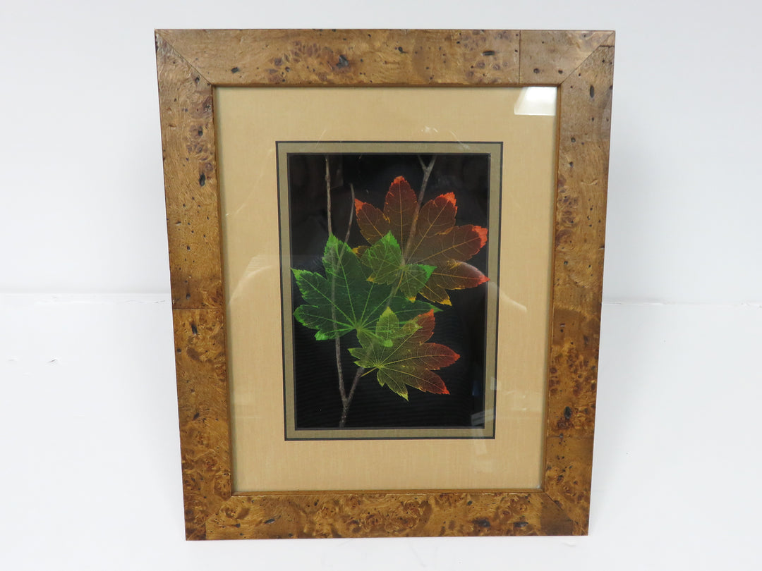 Booker Morey Leaf Vein Artwork