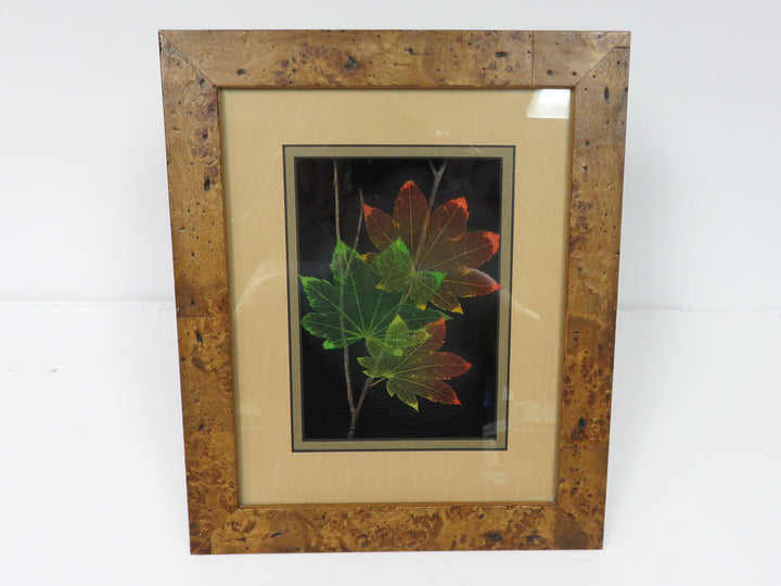 Booker Morey Leaf Vein Artwork
