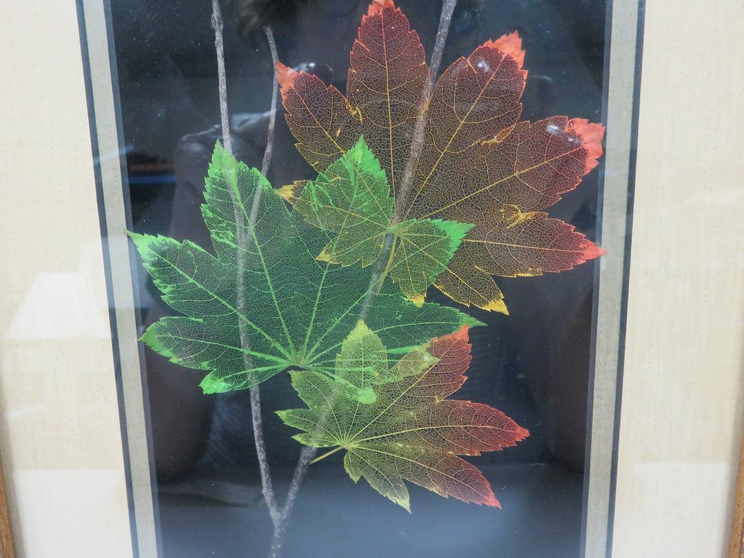 Booker Morey Leaf Vein Artwork