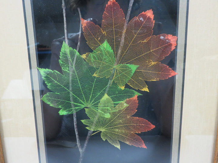 Booker Morey Leaf Vein Artwork