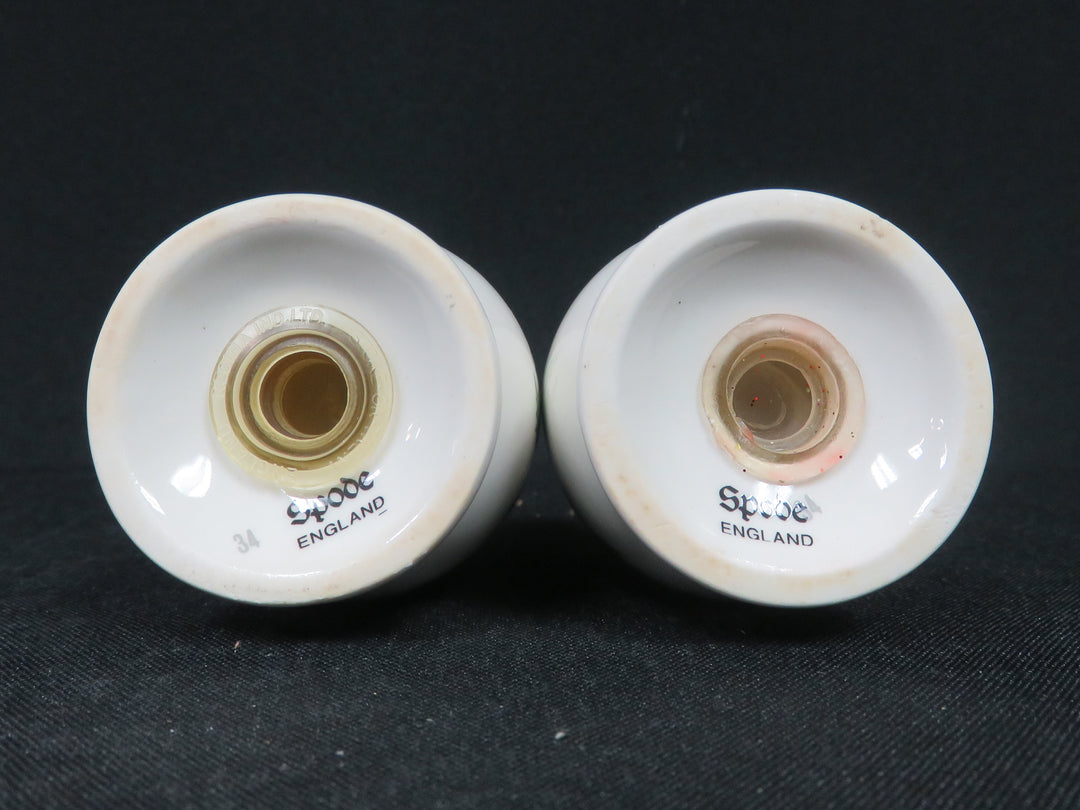 Spode Salt & Pepper