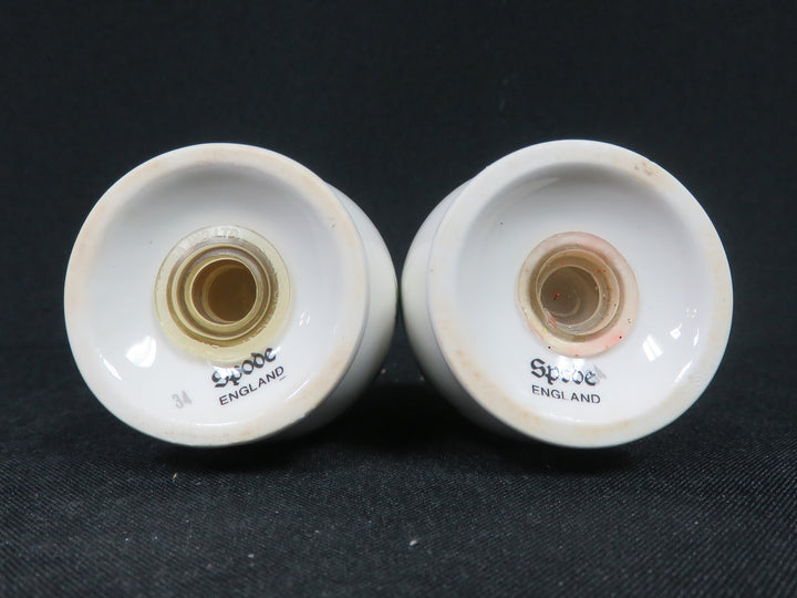 Spode Salt & Pepper