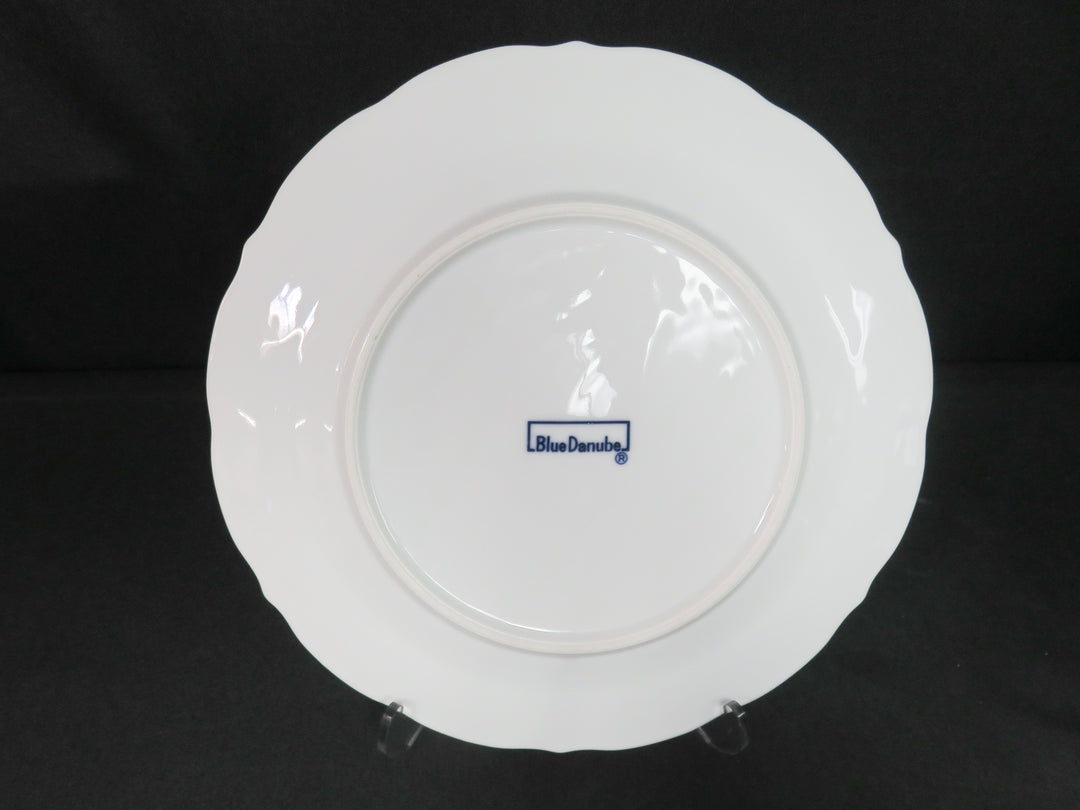 Blue Danube "Blue Onion" China Set