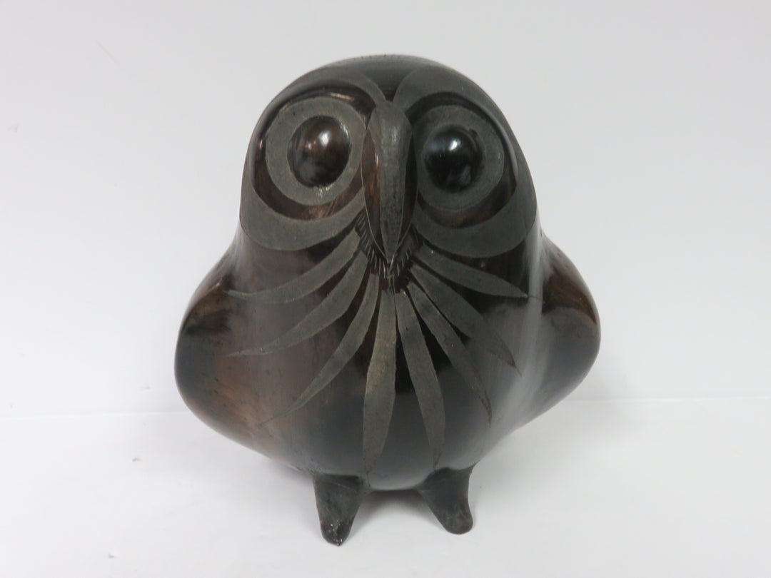 Barro Negro Owl