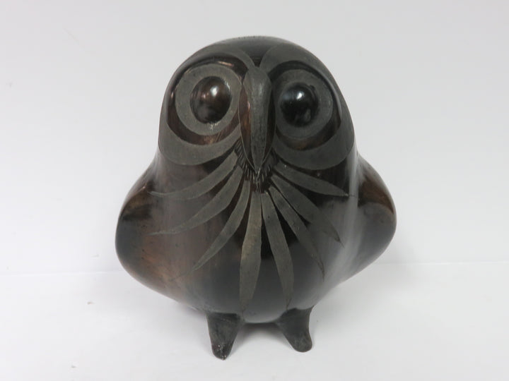 Barro Negro Owl