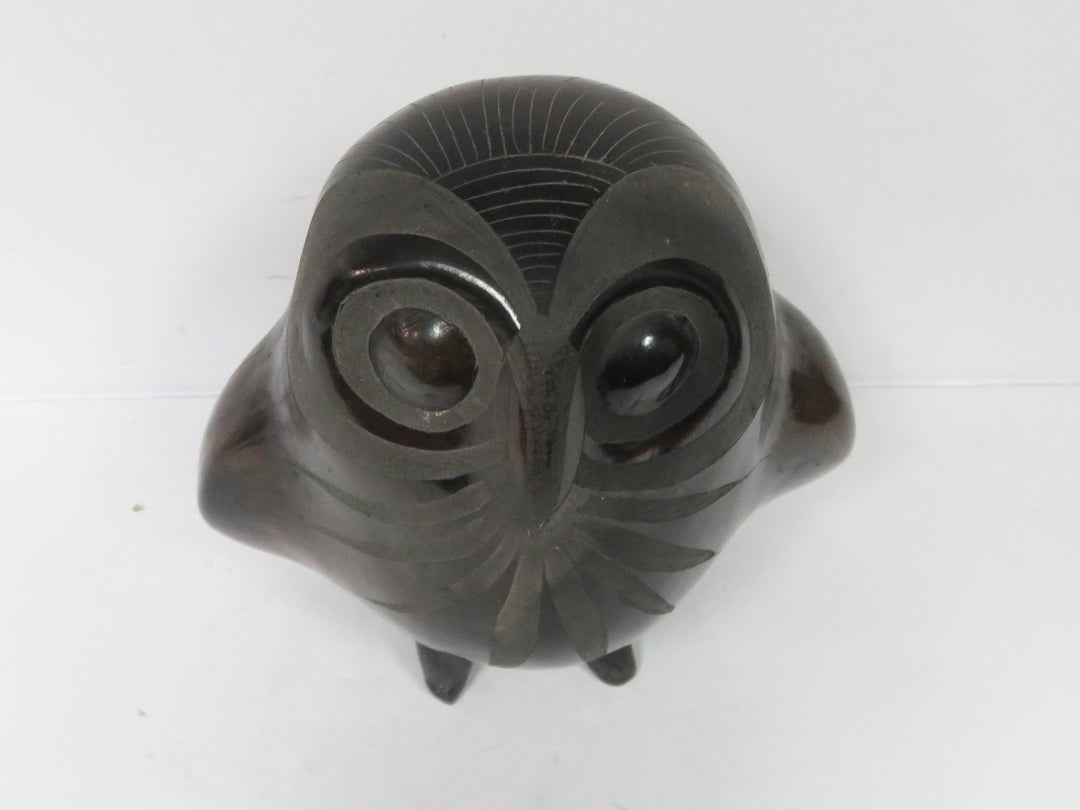 Barro Negro Owl
