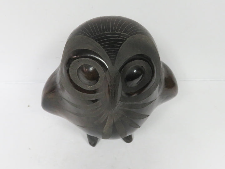 Barro Negro Owl