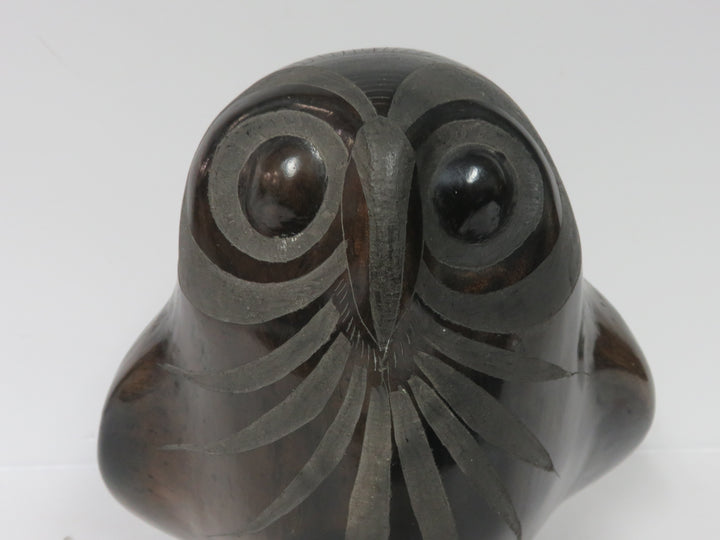 Barro Negro Owl