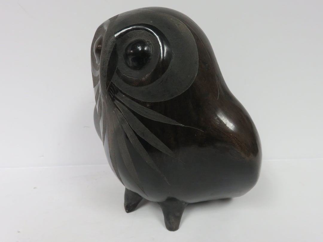 Barro Negro Owl