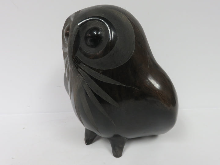 Barro Negro Owl