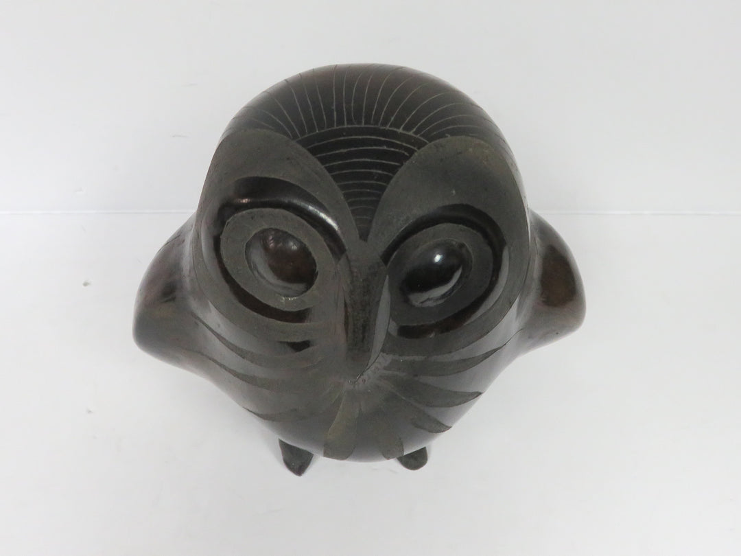 Barro Negro Owl