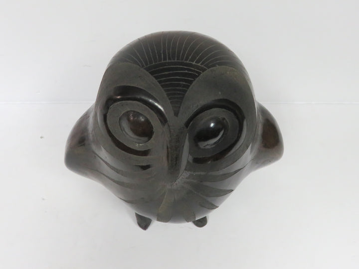 Barro Negro Owl
