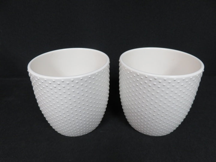 White Ceramic Planters