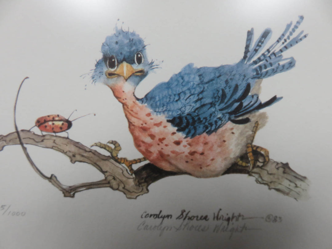 Carolyn Shores Wright Bird Print