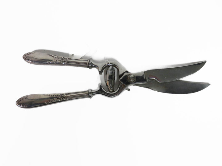Poultry Shears
