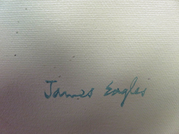 James Eagles Canvas Print