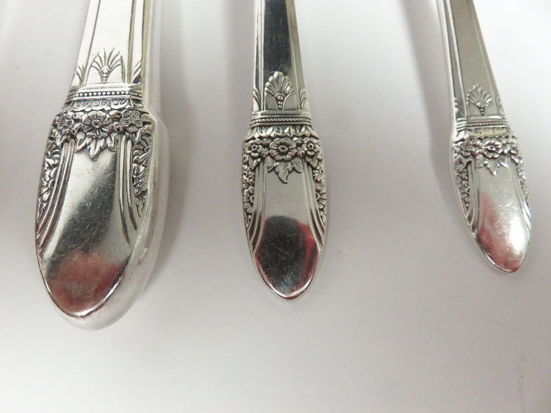 1847 Rogers Brothers Flatware