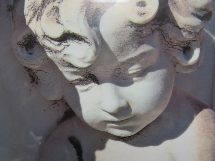 Cherub Signed Print