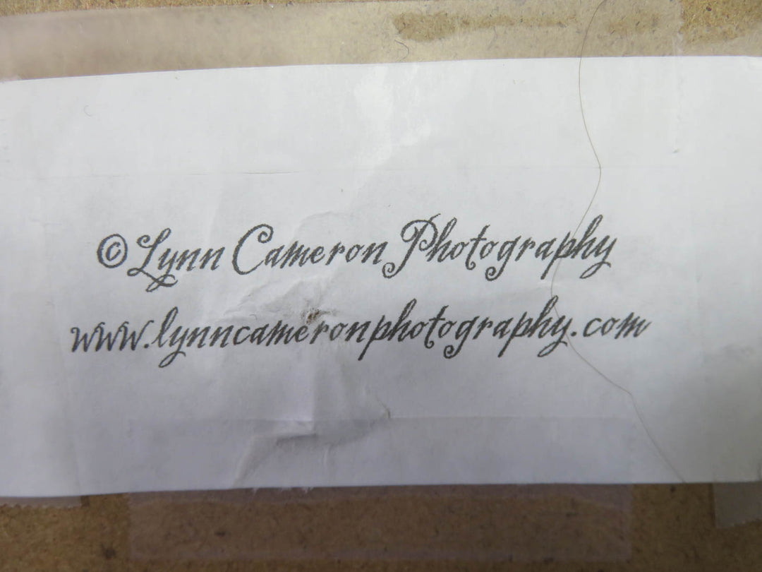 Cherub Signed Print