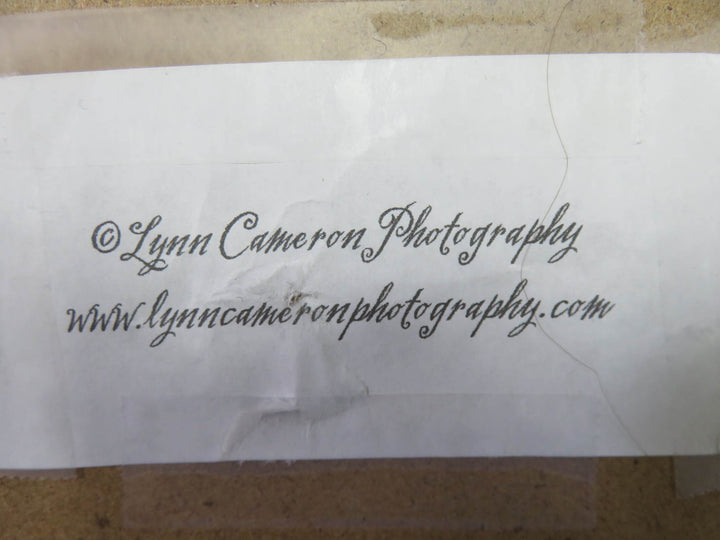 Cherub Signed Print