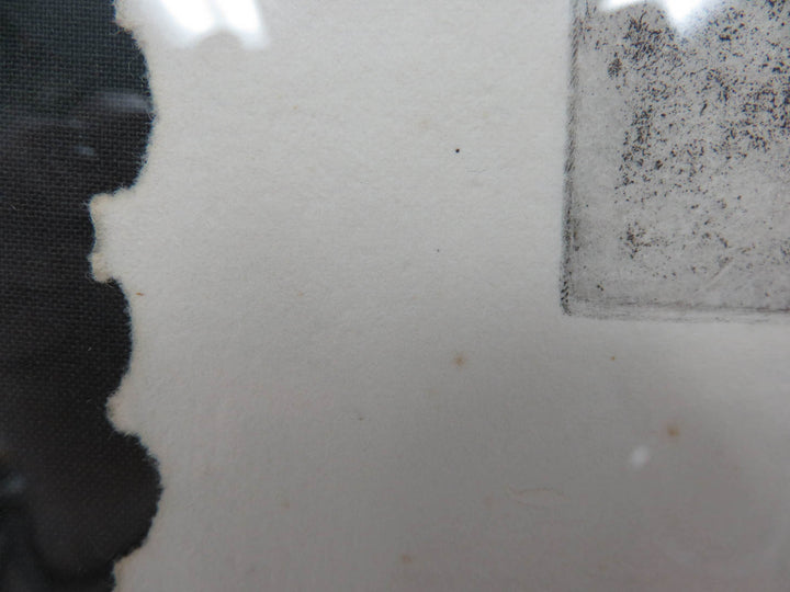Watermelon Signed Etching