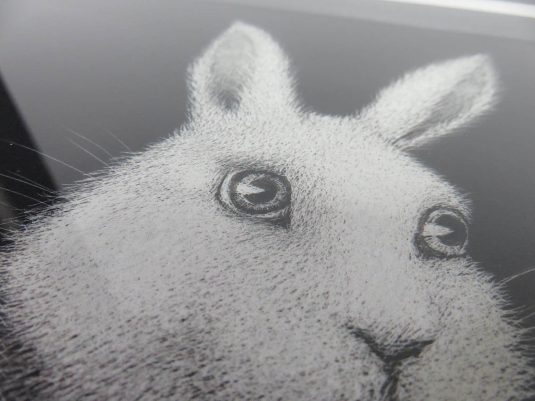 Jefferson Airplane's Grace Slick's "White Rabbit"