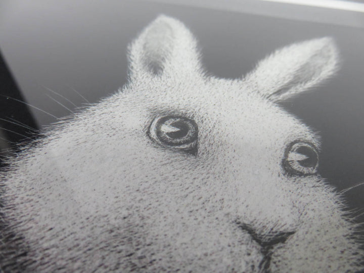 Jefferson Airplane's Grace Slick's "White Rabbit"