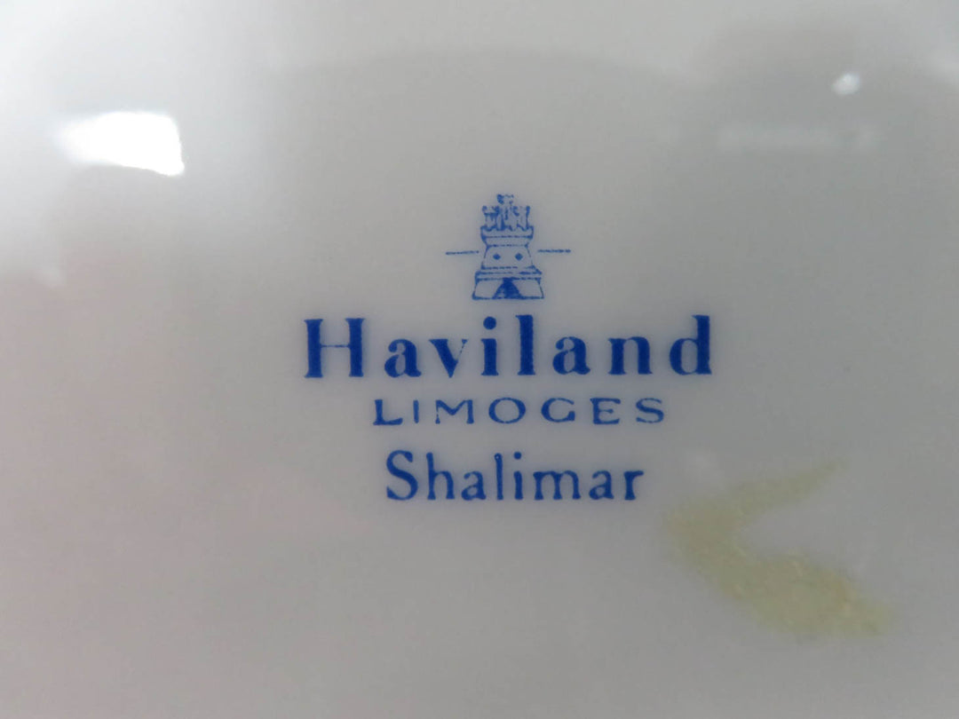 Haviland Limoges Platter