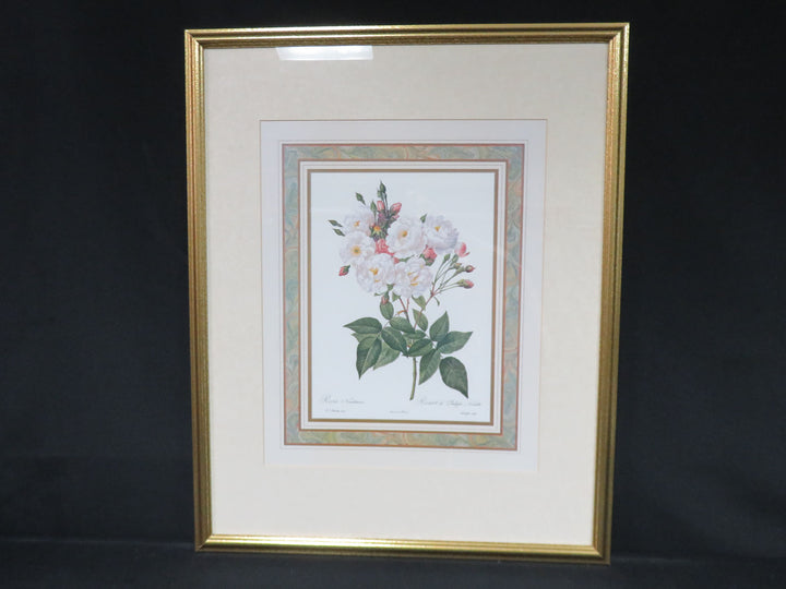 Botanical Print