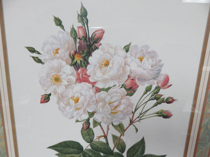 Botanical Print