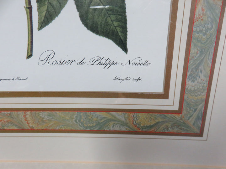 Botanical Print