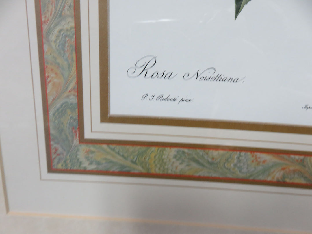 Botanical Print