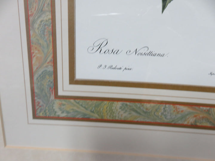 Botanical Print