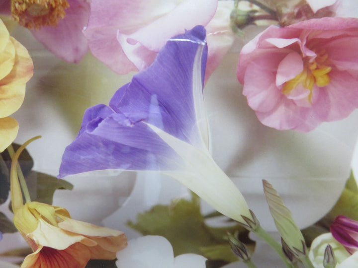 Floral Photograph