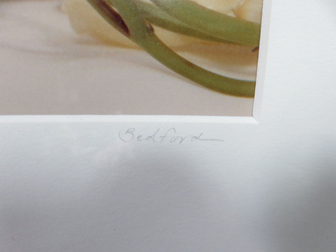 Floral Photograph