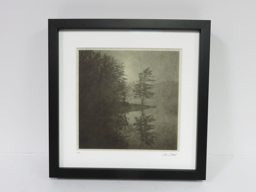 Lakeshore Scene Print
