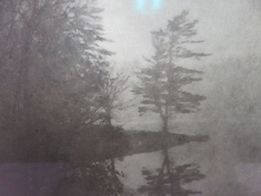 Lakeshore Scene Print