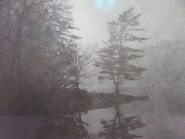 Lakeshore Scene Print