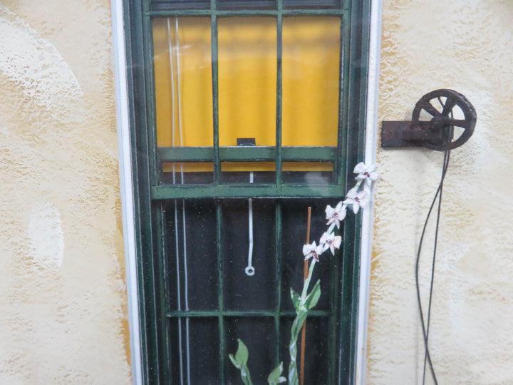 "Window Orchid" Shadowbox Art