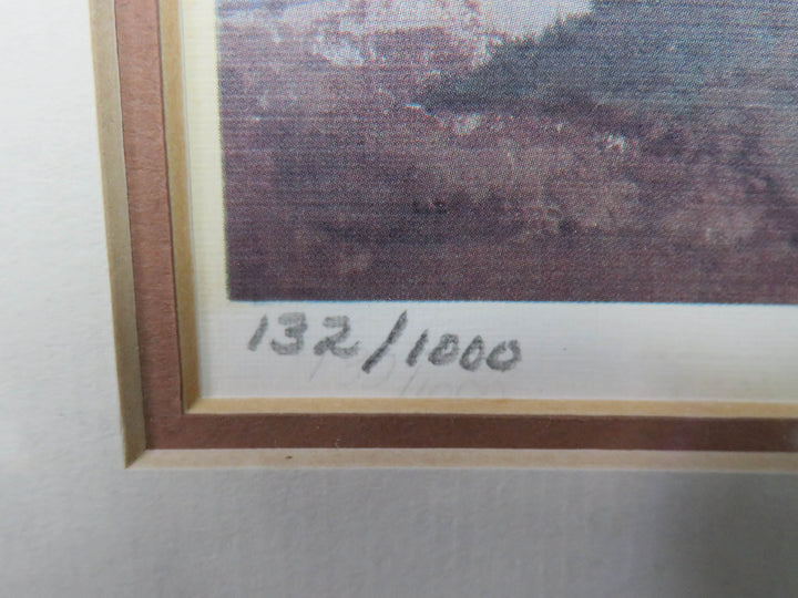 Hotel Del Coronado Print