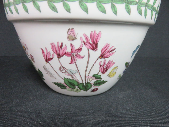 Portmeirion Bowl