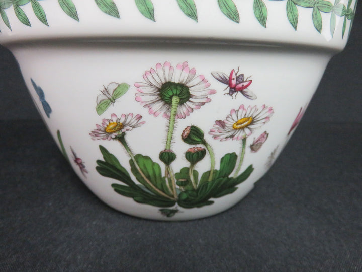 Portmeirion Bowl