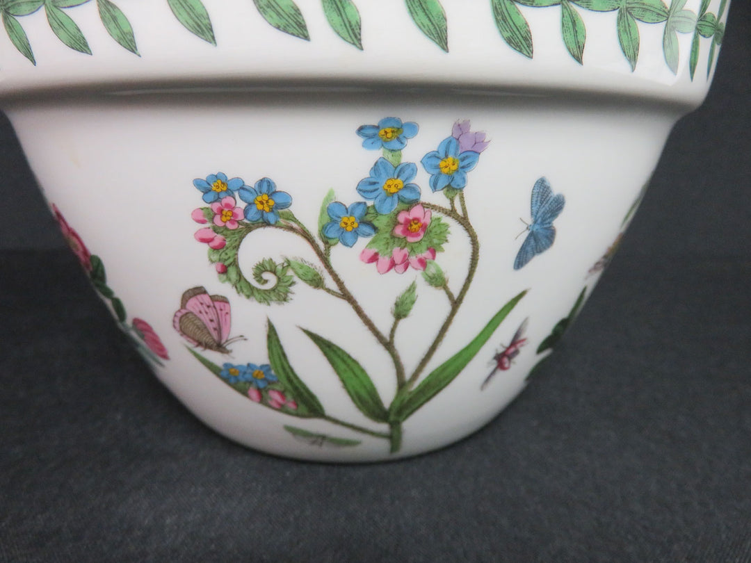 Portmeirion Bowl