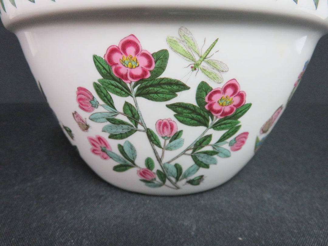 Portmeirion Bowl