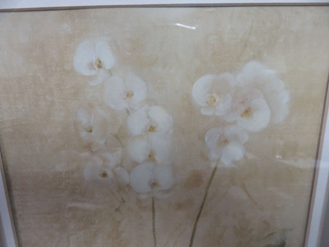 Orchid Print