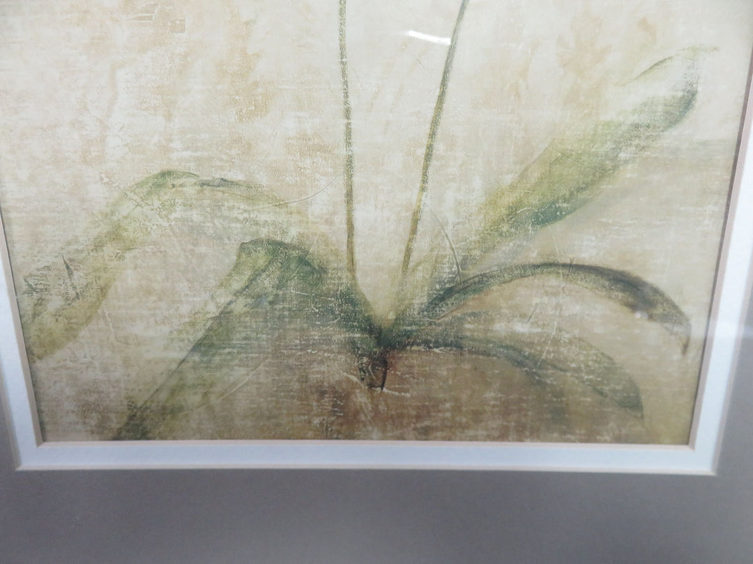 Orchid Print