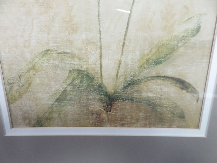 Orchid Print