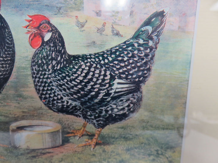 Rooster Print